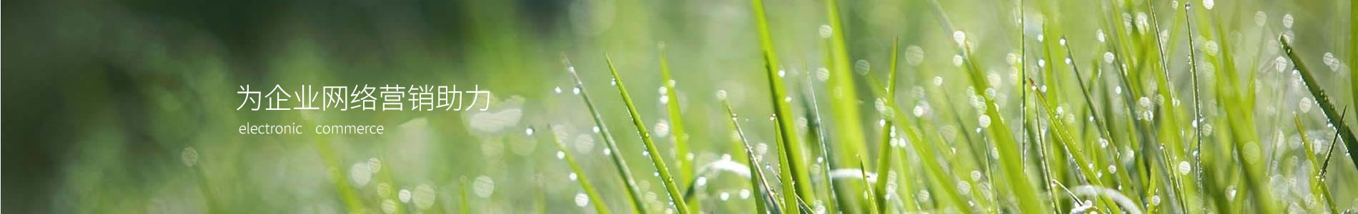 ¡ֽ޹˾